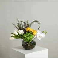 فازة بيلسان