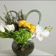 فازة بيلسان