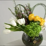 فازة بيلسان