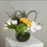 فازة بيلسان