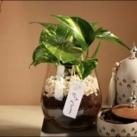 Loved Ones’ Ramadan Gift