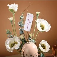 Crescent Moon Arrival