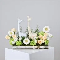 White Blossom & Llama