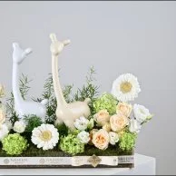 White Blossom & Llama