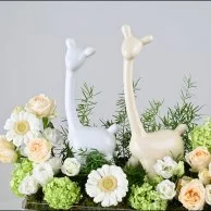 White Blossom & Llama