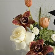 بوكس فرحة التخرج