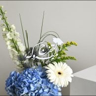 فازة مبروك التخرج | الهايدرنجا الزرقاء