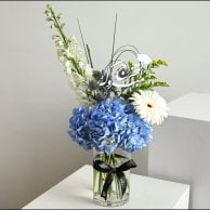 فازة مبروك التخرج | الهايدرنجا الزرقاء