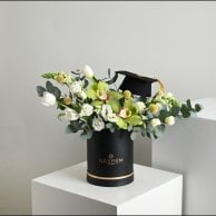 تنسيق بوكس التخرج | اسود