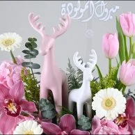 Little Deer Bloom | Baby Girl Gift