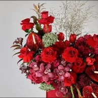 مخملية فبراير