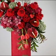 مخملية فبراير