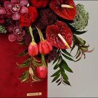 مخملية فبراير