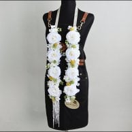 مجموعة عقد و قبعة للتخرج بتنسيق ابيض