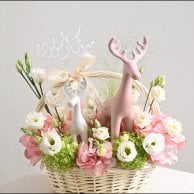 سلة نورتِ الدنيا للمولودة