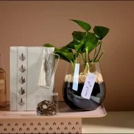 اقبل شهر الصوم