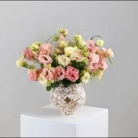 فازة تناغم الاستوما