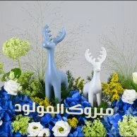 Blue Deer Bloom | هدية المولود