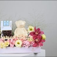 فيلورا بيبي جيرل | هدية المولودة