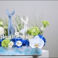 بيلورا بيبي بوي | هدية المولود