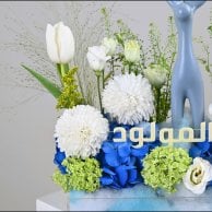 بيلورا بيبي بوي | هدية المولود