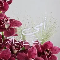 Burgundy Beauty Vase for Mom