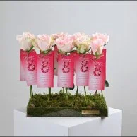 لها كل الحب | توزيعات يوم المرأة العالمي