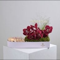 اسعد ليالينا 