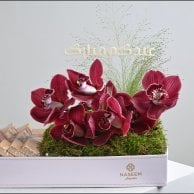 اسعد ليالينا 