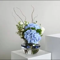 Blue Hydrangea