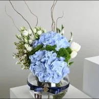 Blue Hydrangea