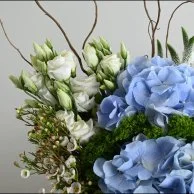 Blue Hydrangea