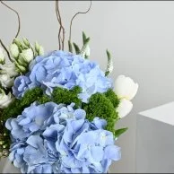 Blue Hydrangea