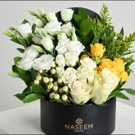 Naseem Package 15