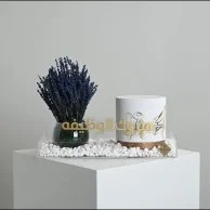 مبروك الوظيفة