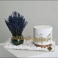 مبروك الوظيفة