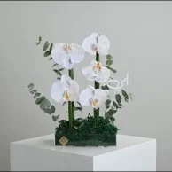 Orchid Bouquet l My mother is heaven