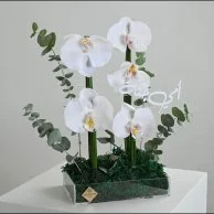 Orchid Bouquet l My mother is heaven