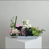 هدية مجوهرات نفيس