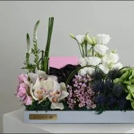 هدية مجوهرات نفيس