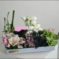 هدية مجوهرات نفيس