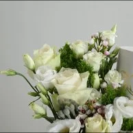 Anoush with white roses