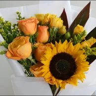 Bloom Light | With Bostani Chocolate 