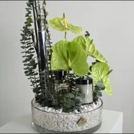 Freshener set with anthurium rose