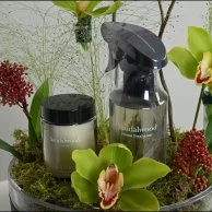 Heather Garden | With a Fragrance Collection