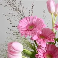 فازة الجيرابيرا و التوليب مع عطر مس ديور