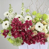 رويال إليجانس