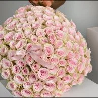 مجموعة بينك لوف