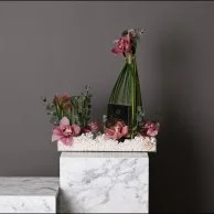 عطر نوار من فيرزاتشي مع زهور السمبيديوم