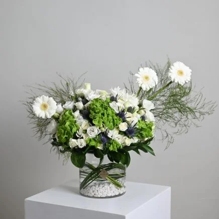 فازة زهور الجربيرا البيضاء